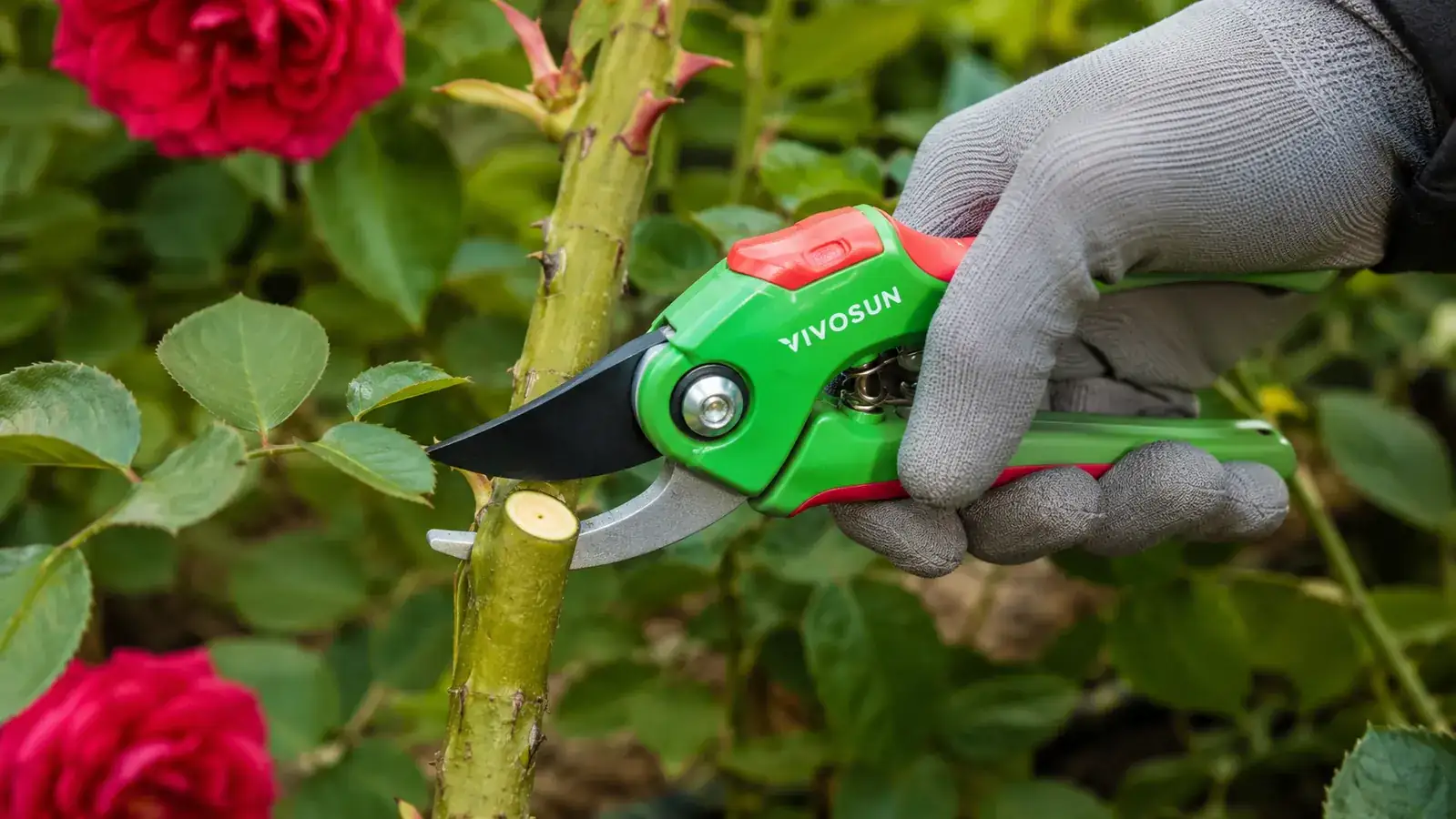 VIVOSUN pruning shears held open in a gloved hand, showing the stainless steel blade and orange safety lock