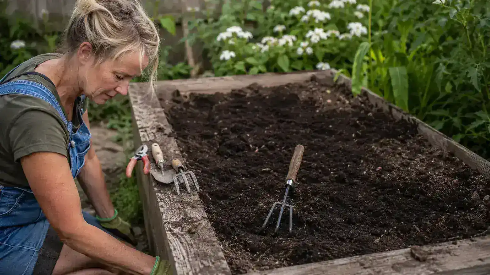 ZUZUAN transplant trowel next to a small tomato seedling being carefully placed into a planting hole in dark garden soil